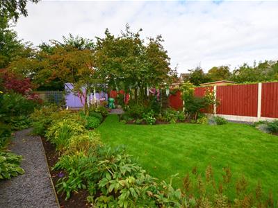 Picture 21